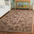 Carnasheeran Hand Tufted Wool Oriental Rug-20541722
