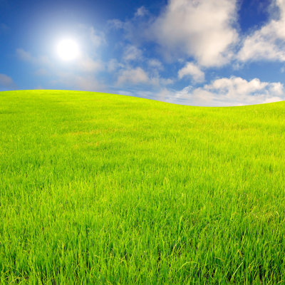 " Sky And Grass Background " by Apinunrin