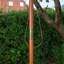Parasol-507880148