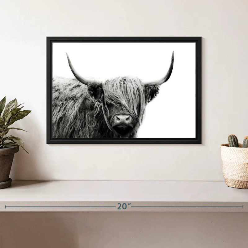 BW Highland Cow, 9" H x 13" W