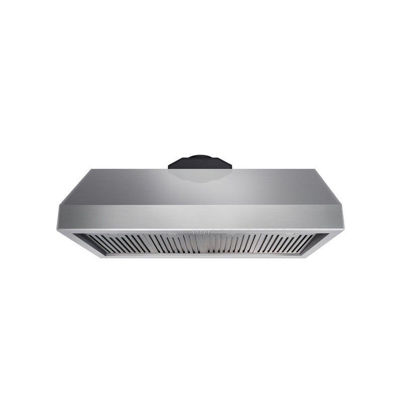 Hotte murale 48 po 1200 CFM en acier inoxydable