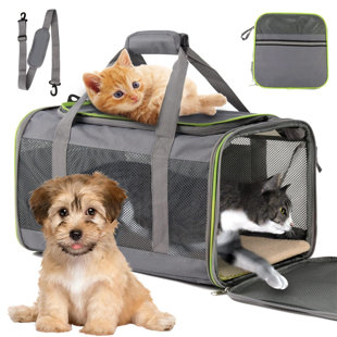 Dog Carrier, Pet Carrier, Cat Carrier, Expandable Foldable Airline Approved  Leather Pet Travel Portable Bag Carrier for Cat and Small Dog -  Hong  Kong