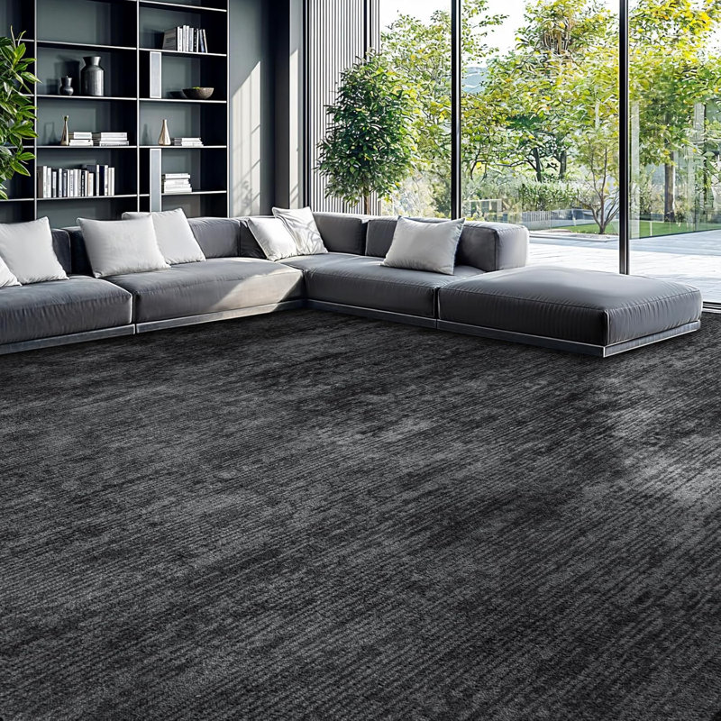 Tapis lavable pour salon