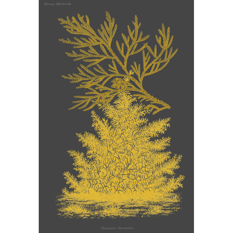 Trees and Leaves II by Vision Studio - Painting, 46cm H x 30cm W, Black Floater Framed