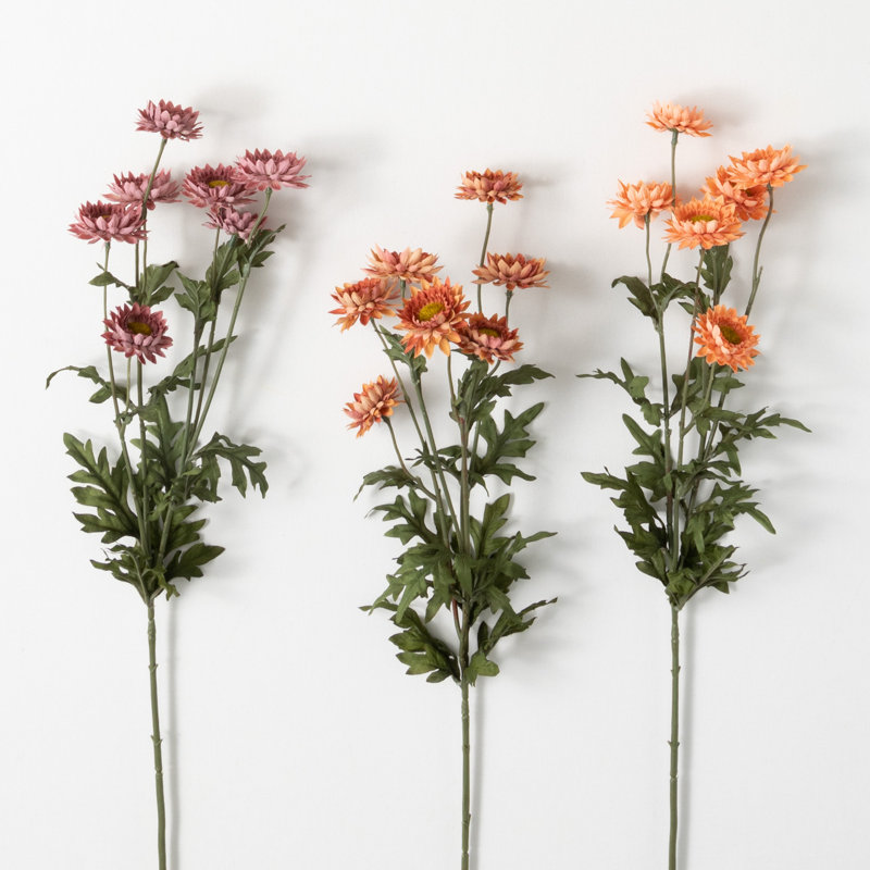 Straw Stem
