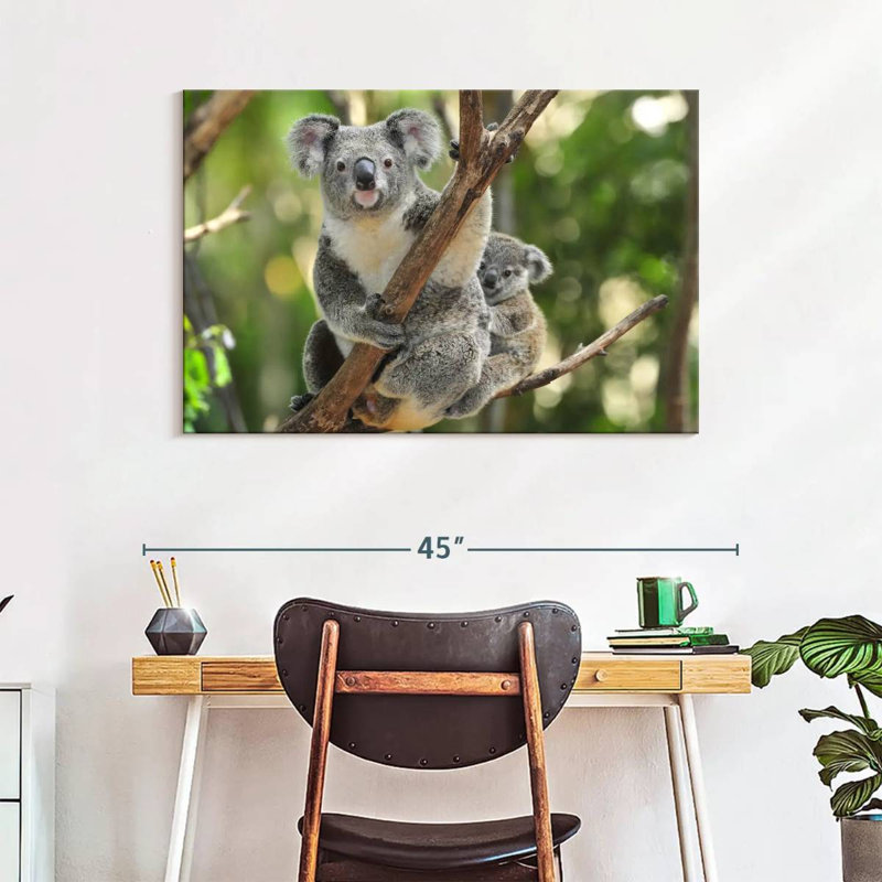 Australian Koala Bears, 26" H x 39" W