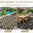 Waterproof Reversible Outdoor Rug – Durable Plastic Straw Carpet for Patio, Deck, RV, Camping, Balcony, Backyard – Lightweight Boho Area Mat – Black Coffee, 9x12ft (270x360cm)-1868442795-1868442793