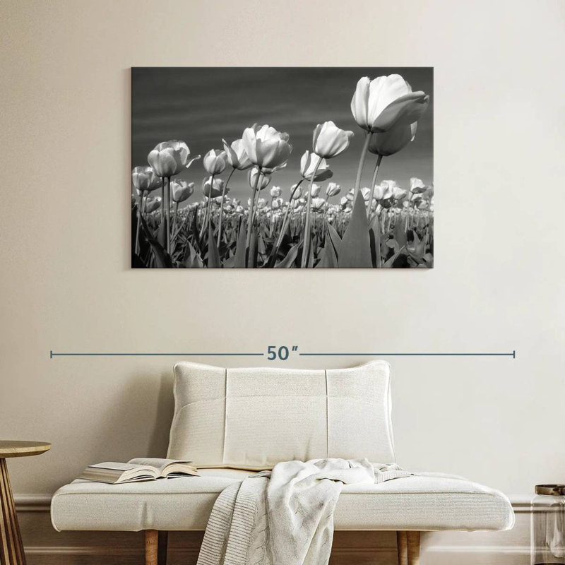 Harnek Monochrome Tulip Field, 26" H x 39" W