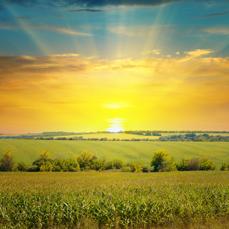 Sunrise On Blue Sky by AlinaMD - Wrapped Canvas Print, 30cm H x 46cm W
