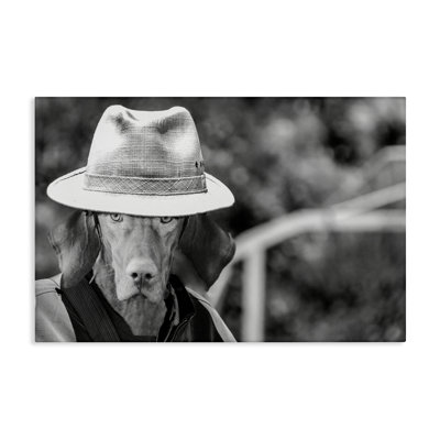 «Country Cowboy Dog» par SD graphiques Studio