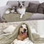 Sherpa Fleece Pet Blanket-94897884-94897887