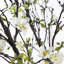 Arrangement floral floral quince en vase