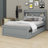 Darrein Platform Storage Bed-1441064836-1441064837