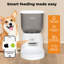 Automatic Feeder
