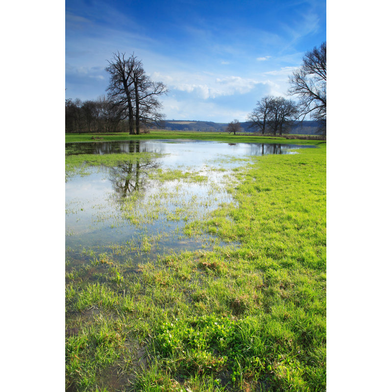 Pâturages avec flaques d'eau par Avtg, H 30 po x l 20 po