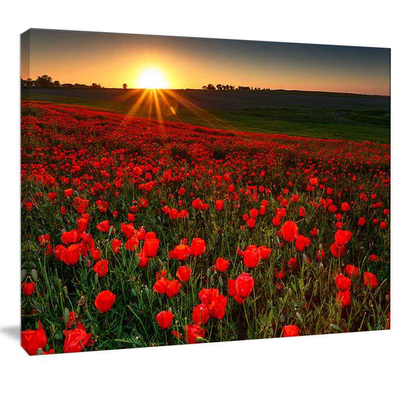 " Sunset Over Garden With Red Poppies ", 12" H x 20" W