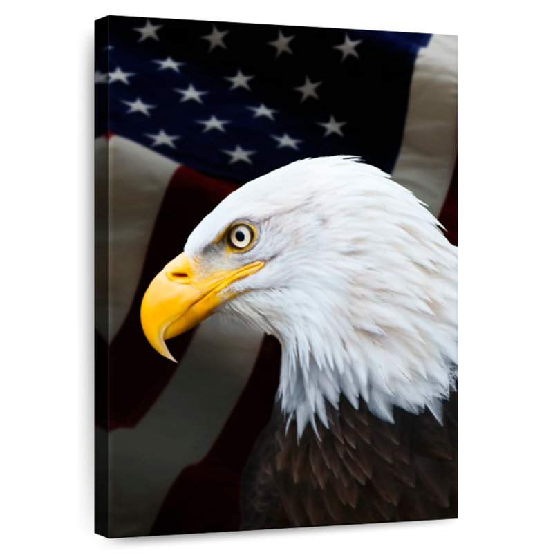 Brampt Patriotic American Bald Eagle, 30" H x 20" W