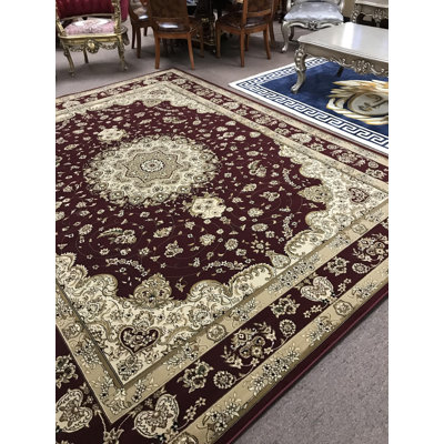 Infinity Oriental Area Rug in Burgundy/Beige
