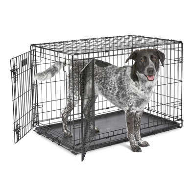 MidWest Homes for Pets Double Door iCrate