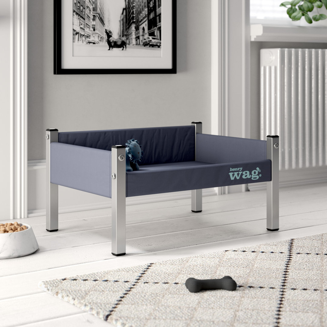 Elevated Dog Cot in Grey