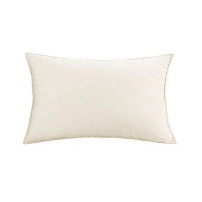 Ensemble de 2 coussins décoratifs noirs en velours uni de taille 20 po x 20 po avec 580 g chacun