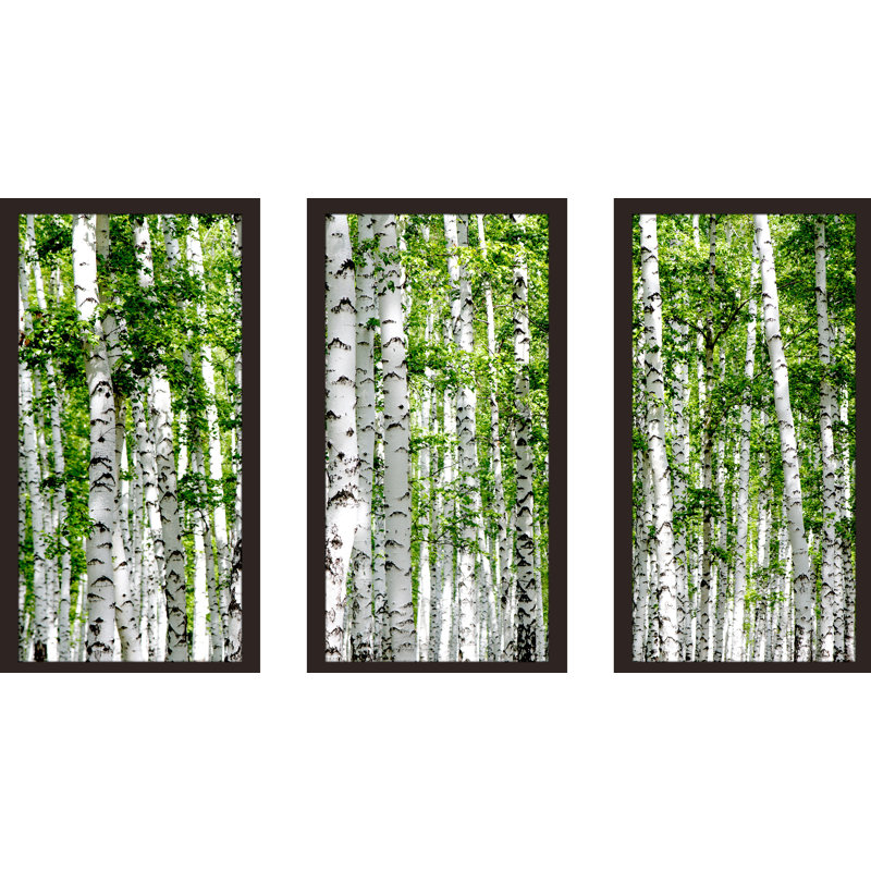 Bouleaux - ensemble de 3 reproductions de photos sur acrylique, H 25,5 po x l 40,5 po x P 1 po