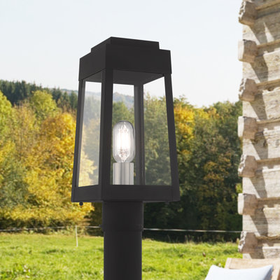 Antionetta Transparent Lantern Head