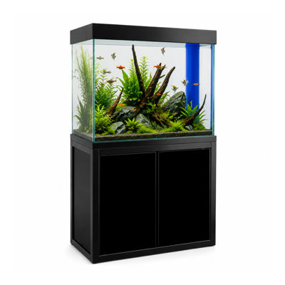Rectangle Aquarium Tank