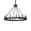 12 - Light Chandelier