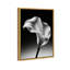 Petal Wave Print by Oliver Gal-610960091-610960039