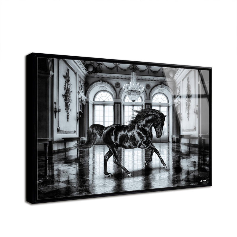 Ballroom Strut Horse Framed Acrylic, 30" H x 45" W