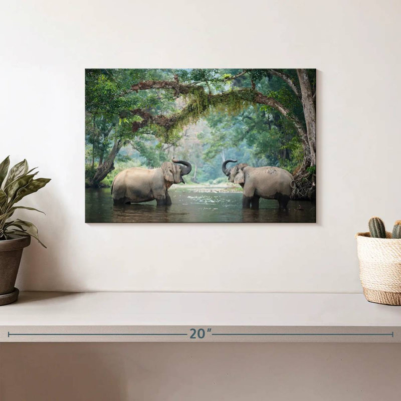 Éléphants de bain Brampt, H 8 po x l 12 po