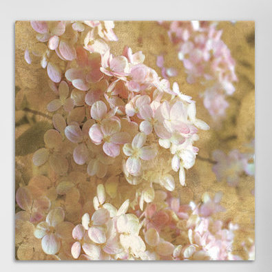 «Gilded Hydrangea I», impression sur toile tendue, H 26 po x l 26 po x P 1,5 po, Toile encadrée noire, Pas de tapis