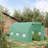 Greenhouse For Plants 15'X6'x7', With Good Ventilation And Access, Walk-In 15'X6'x7' Extended Plant Growth,