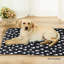 Couverture pour animal-97825683