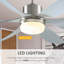Ceiling Fan