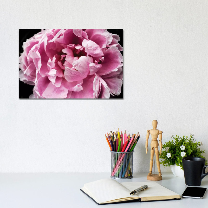 Pink Peony Passion IV by Irena Orlov - Wrapped Canvas Print, 20.32cm H x 30.48cm W x 1.91cm D