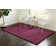 Capwell Performance Indoor Rug