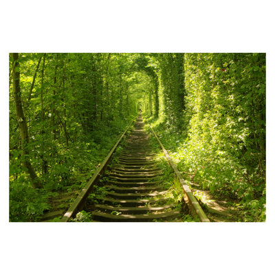 " Tunnel Of Love "