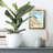 Biron -Gallery Wrapped Canvas