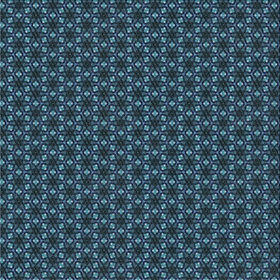 Indoor Rug