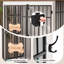 Metal Pet Crate with 2 Doors-1703710303