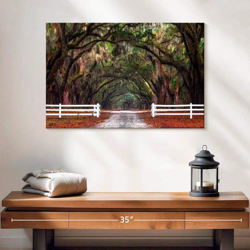 Arbres du site historique Ravi Wormsloe, H 20 po x l 30 po