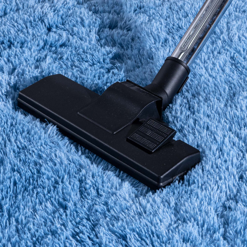 Shag Area Rugs 5x7 ft, Haze Blue Fluffy Rug for Living Room, Non-Slip Shag Carpet for Bedroom Nursery Kids Play Room Dorm Office