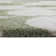 Tapis vert moderne Cherith