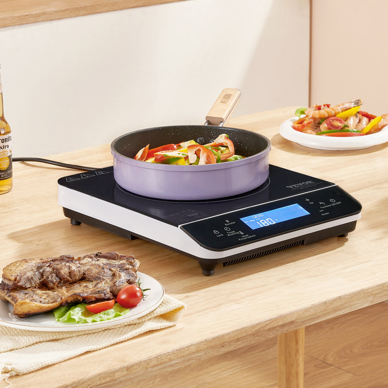 Plaque de cuisson portative à induction à 9 niveaux pour brûleur de comptoir 1500 W