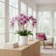 Orchids Arranged in Fiberstone Planter-427188119