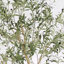 Olive artificielle 8,2 pi avec jardinière blanche pour l'intérieur