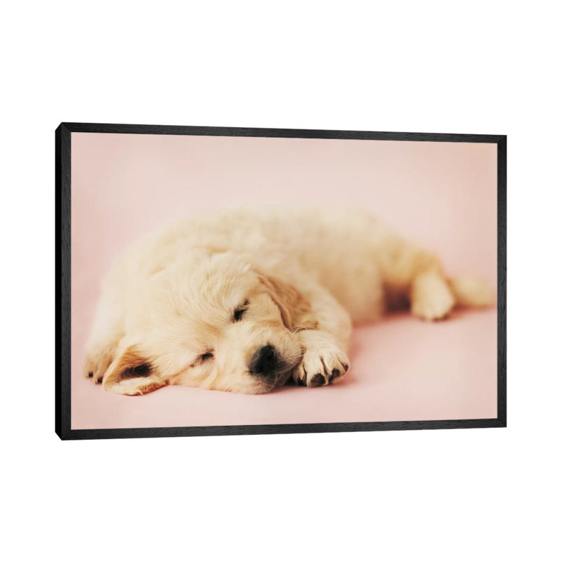 Samuel by Rachael Hale - Print on Canvas, 152.5 cm H x 101.5 cm W, Black Framed