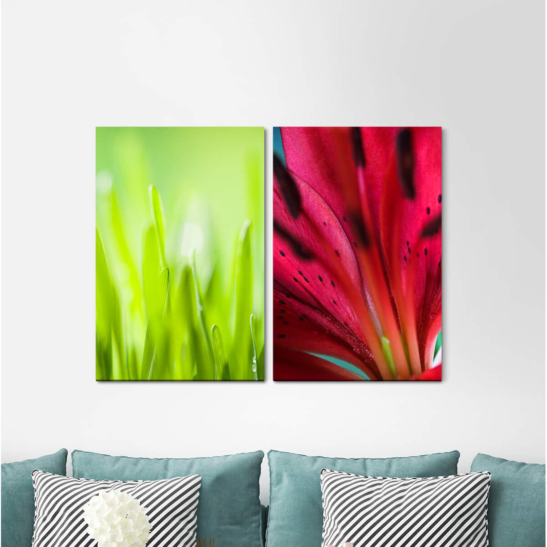 2-tlg. Leinwandbilder-Set - Fotografie „Grass Blades of Green Red Refreshing Blossom”